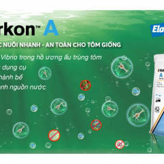 Ứng dụng của Virkon™ A trong trại sản xuất tôm giống